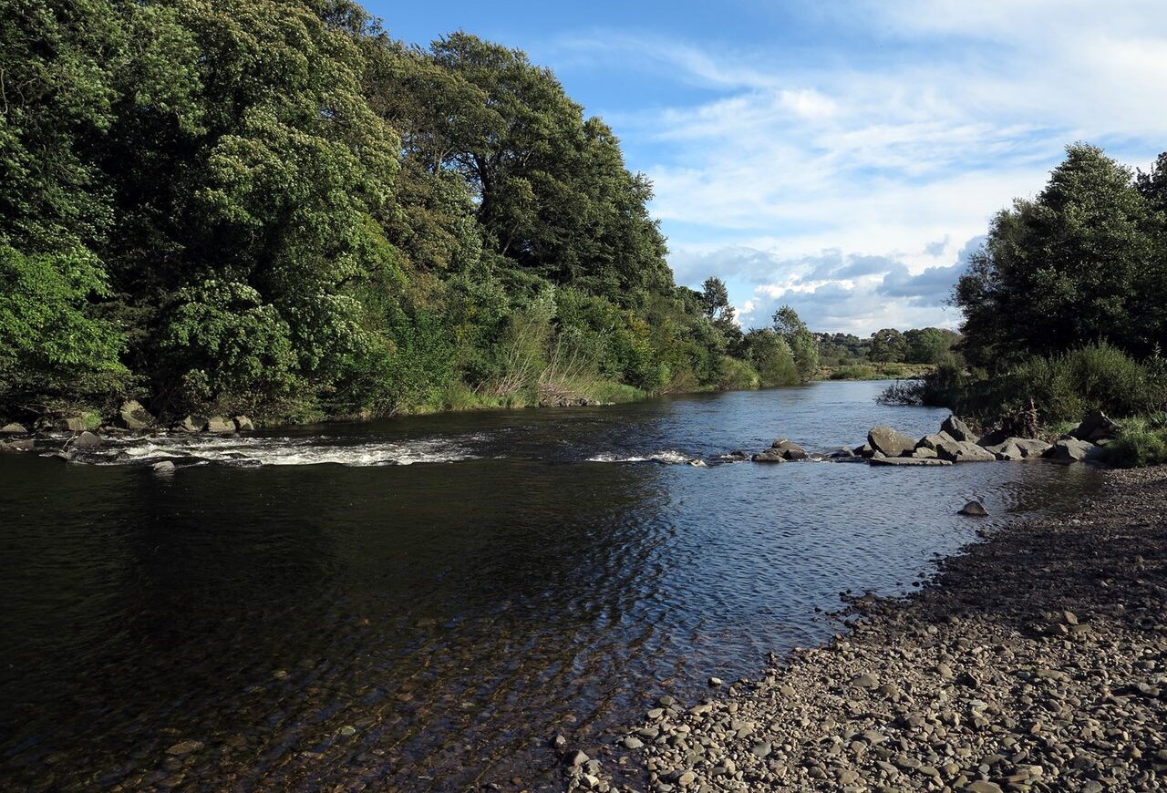 River_Wear_at_Escomb_-_geograph.org.uk_-_3138212