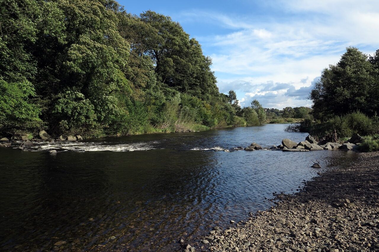 River_Wear_at_Escomb_-_geograph.org.uk_-_3138212